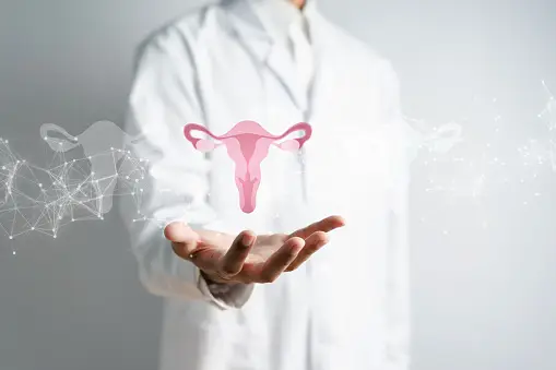 doctor holding image of fallopian